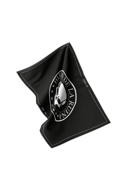 BANDERA HDLR4